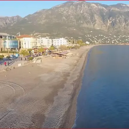 Among The Palm Trees, Next To The Beach * Avía