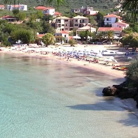 Among The Palm Trees, Next To The Beach Avía